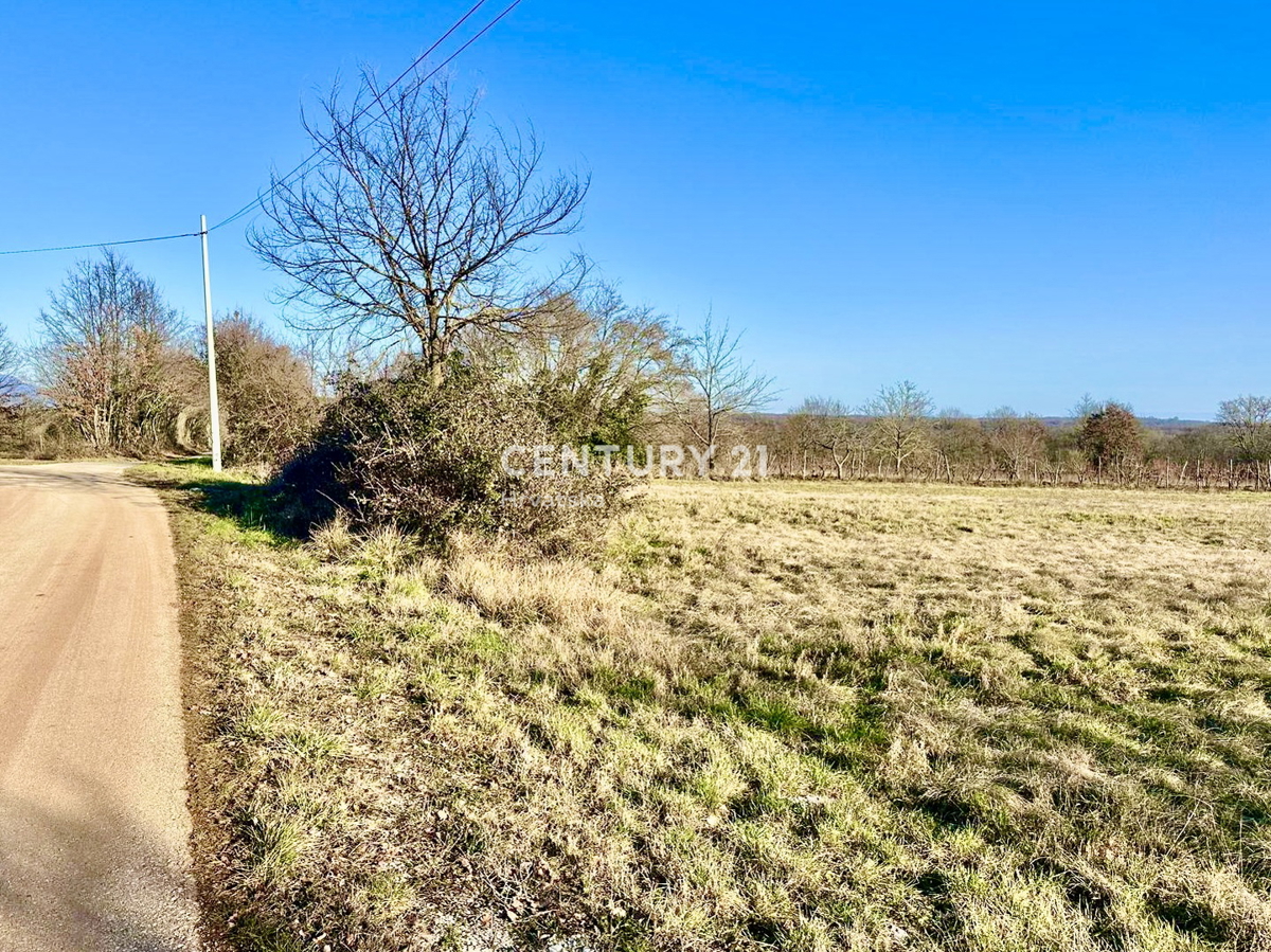 ŽMINJ, OKOLICA, ODLIČNO GRADBENO ZEMLJIŠČE S POGOSTIM POTENCIALOM