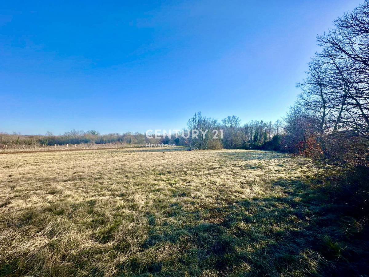 ŽMINJ, OKOLICA, ODLIČNO GRADBENO ZEMLJIŠČE S POGOSTIM POTENCIALOM