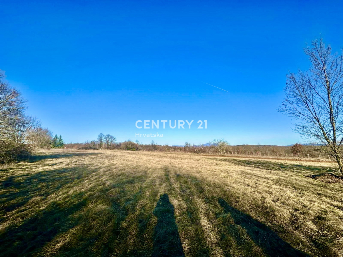 ŽMINJ, OKOLICA, ODLIČNO GRADBENO ZEMLJIŠČE S POGOSTIM POTENCIALOM
