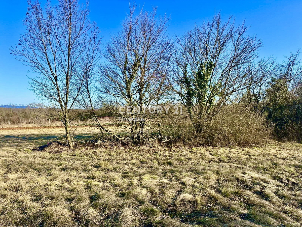 ŽMINJ, OKOLICA, ODLIČNO GRADBENO ZEMLJIŠČE S POGOSTIM POTENCIALOM