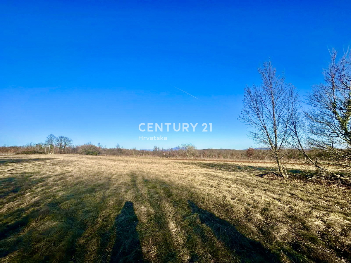 ŽMINJ, OKOLICA, ODLIČNO GRADBENO ZEMLJIŠČE S POGOSTIM POTENCIALOM