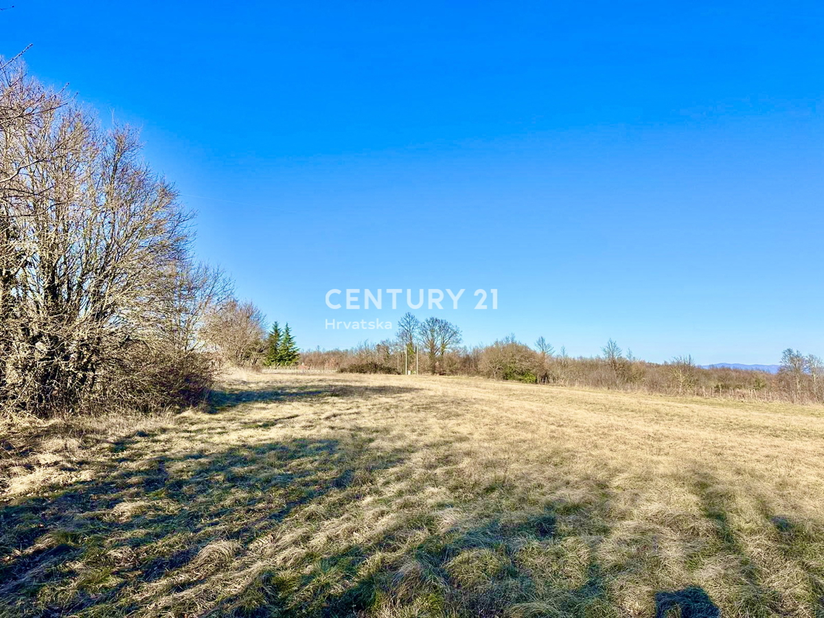 ŽMINJ, OKOLICA, ODLIČNO GRADBENO ZEMLJIŠČE S POGOSTIM POTENCIALOM