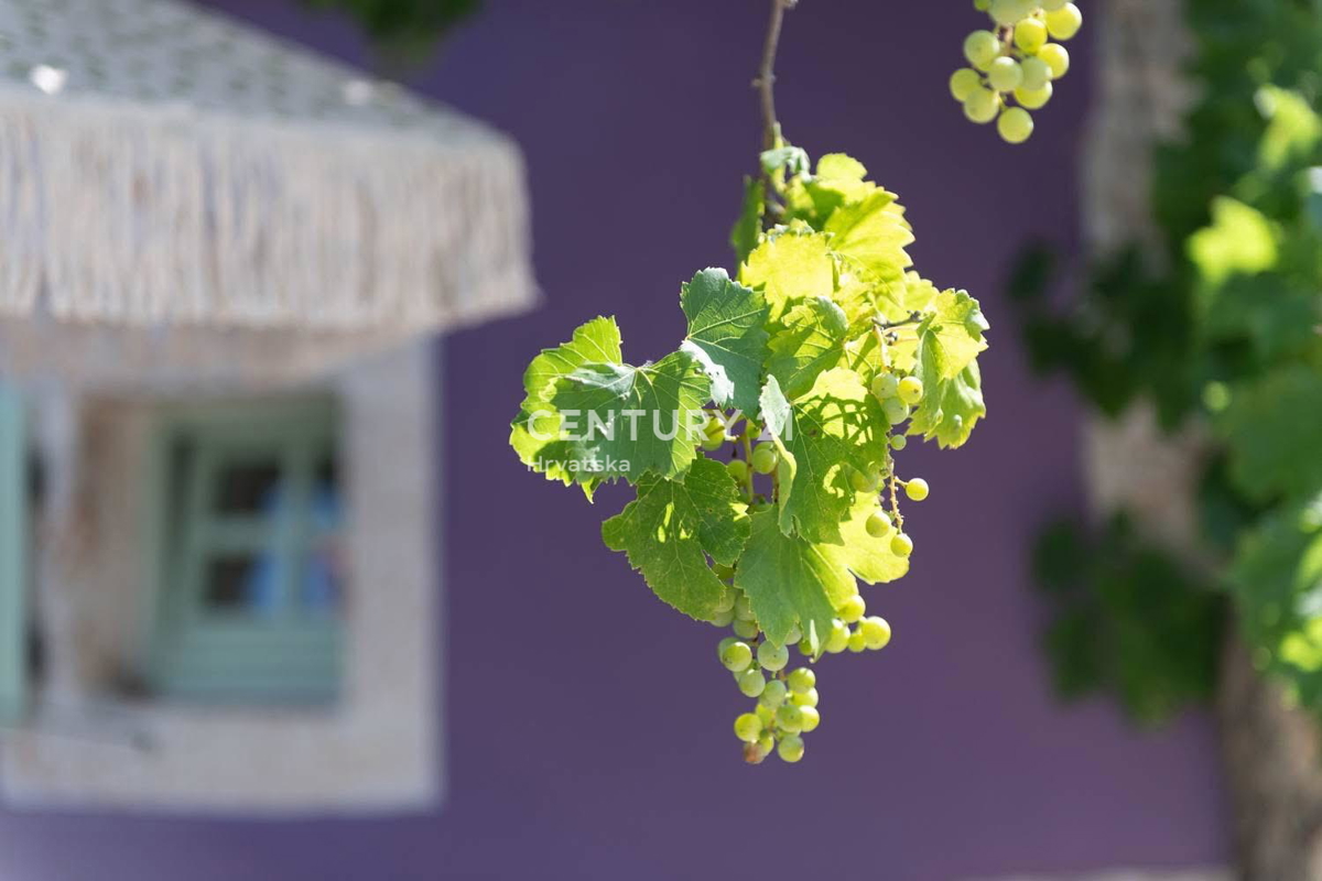 SVETVINČENAT, OKOLICA, ŠARMANTNA RENOVIRANA KAMNITA HIŠA