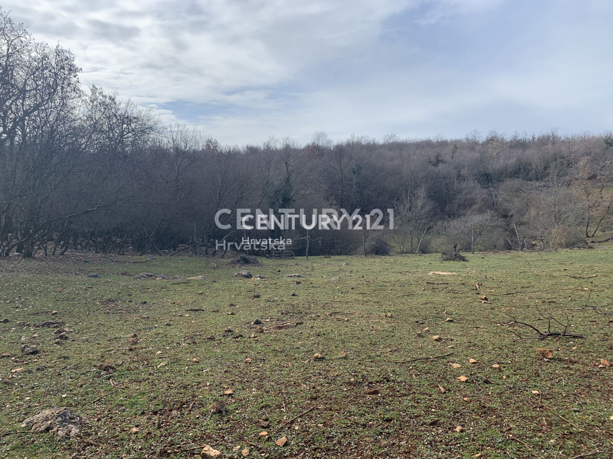 Prodaja, zemljišče, zazidljivo, Istarska županija, Višnjan, Radoši pri Višnjanu