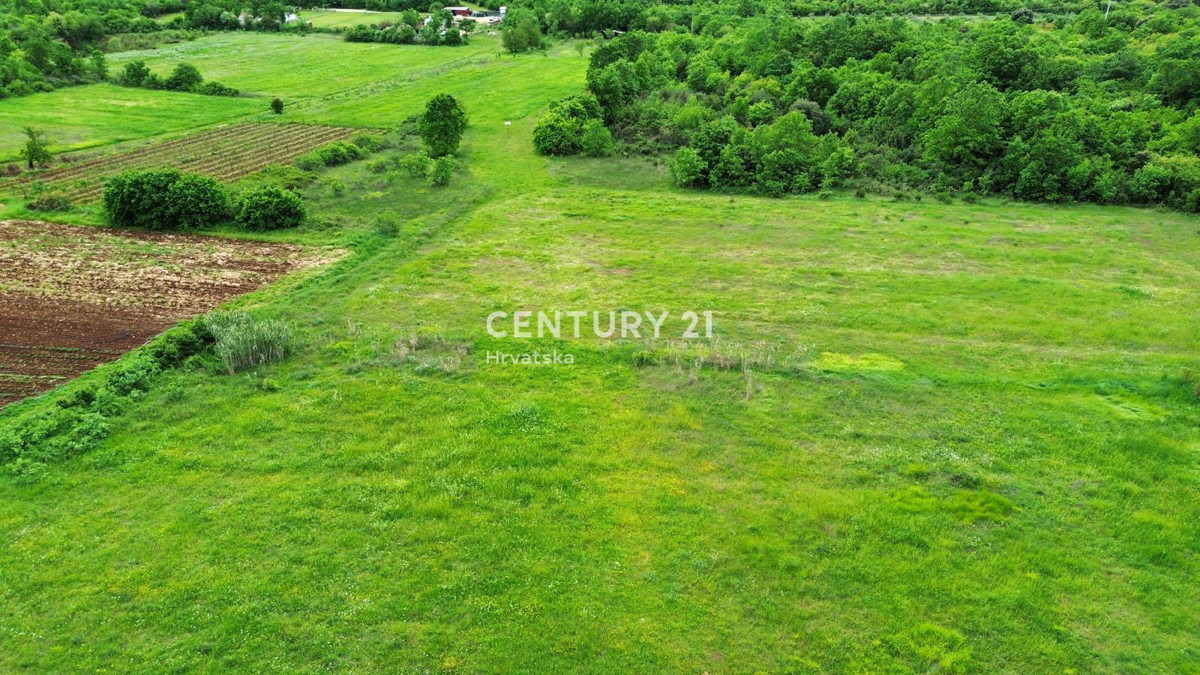 Prodaja, hiša, samostojna, Istarska županija, Rovinj