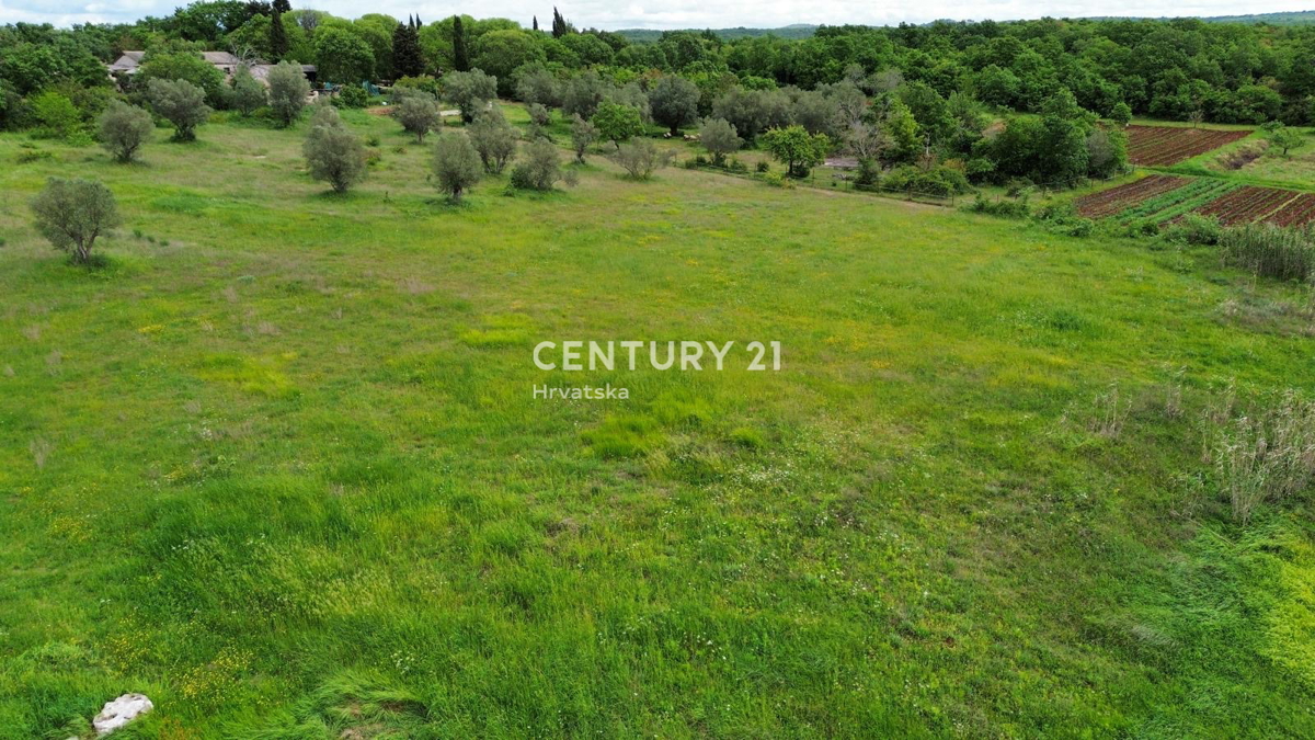 Prodaja, hiša, samostojna, Istarska županija, Rovinj