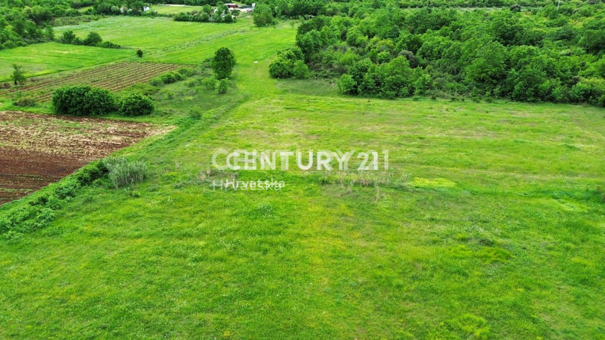 Prodaja, hiša, samostojna, Istarska županija, Rovinj