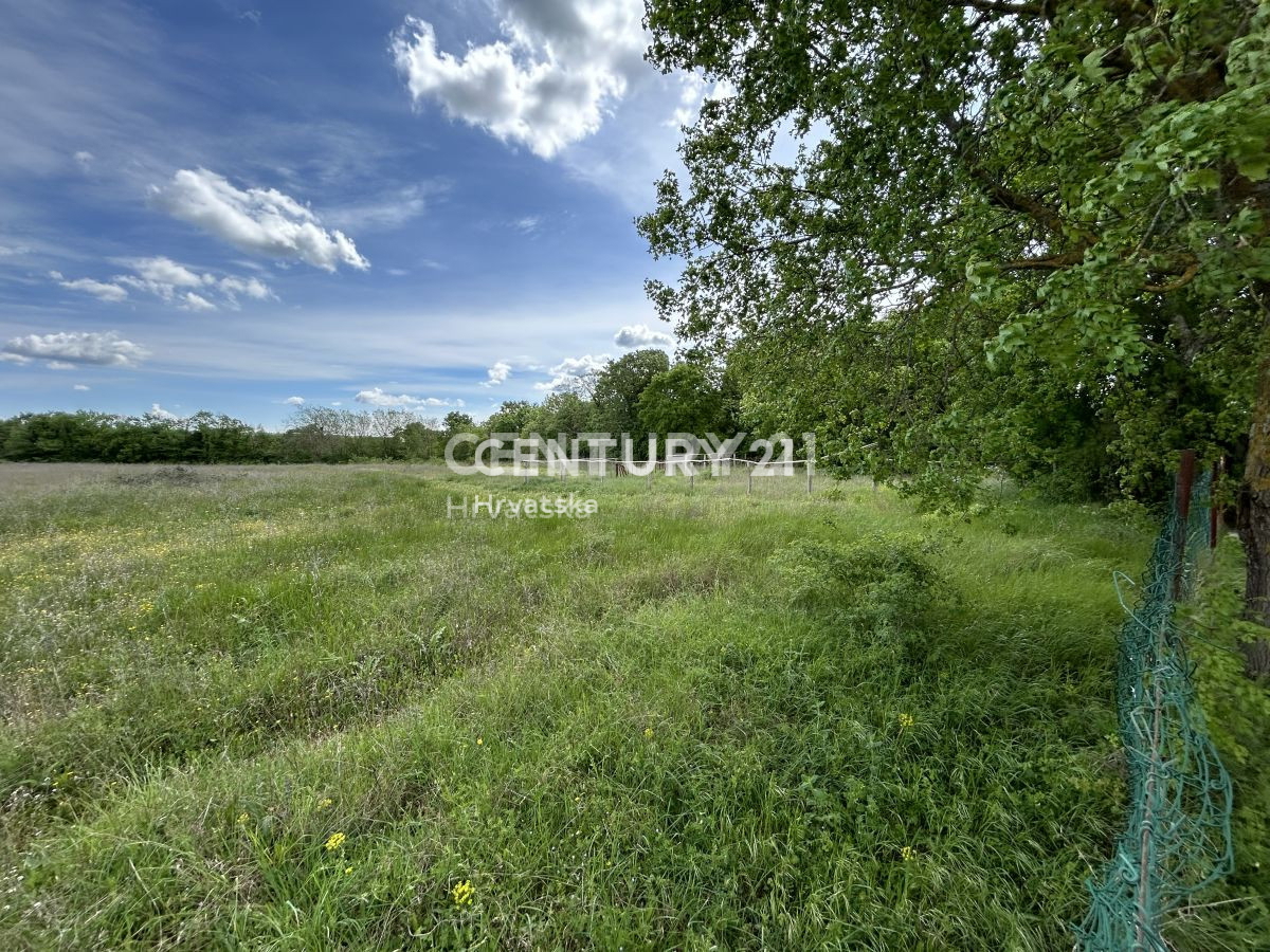 Prodaja, zemljišče, gradbeno, Istarska županija, Bale