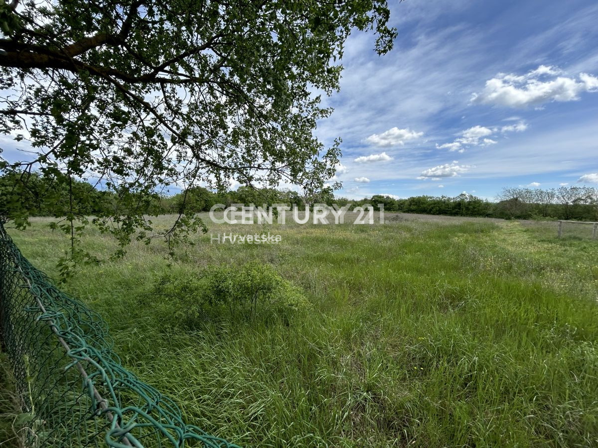 Prodaja, zemljišče, gradbeno, Istarska županija, Bale