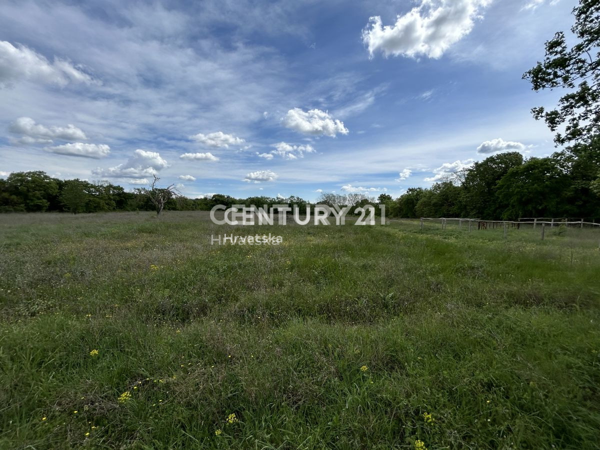 Prodaja, zemljišče, gradbeno, Istarska županija, Bale