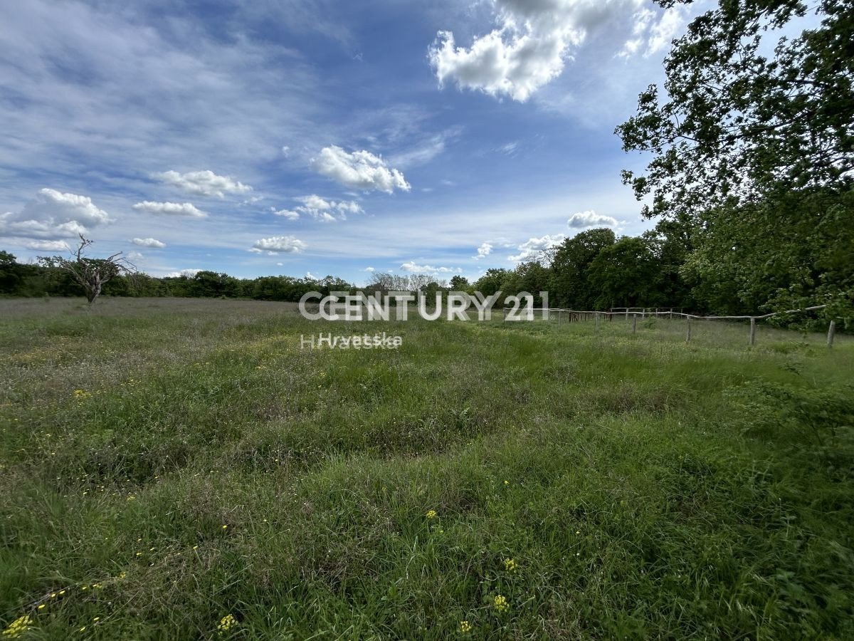 Prodaja, zemljišče, gradbeno, Istarska županija, Bale