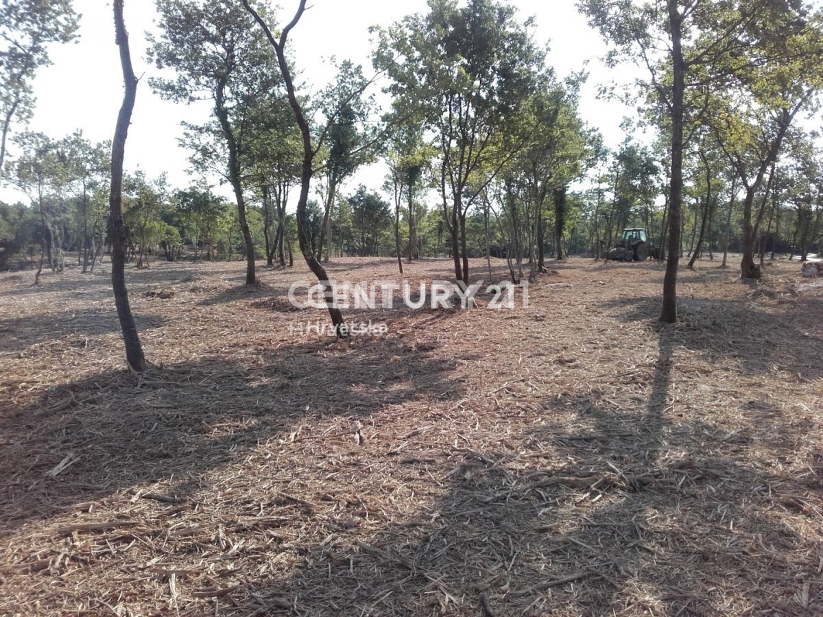 Prodaja, dvojna hiša, Istarska županija, Višnjan, Radoši pri Višnjanu