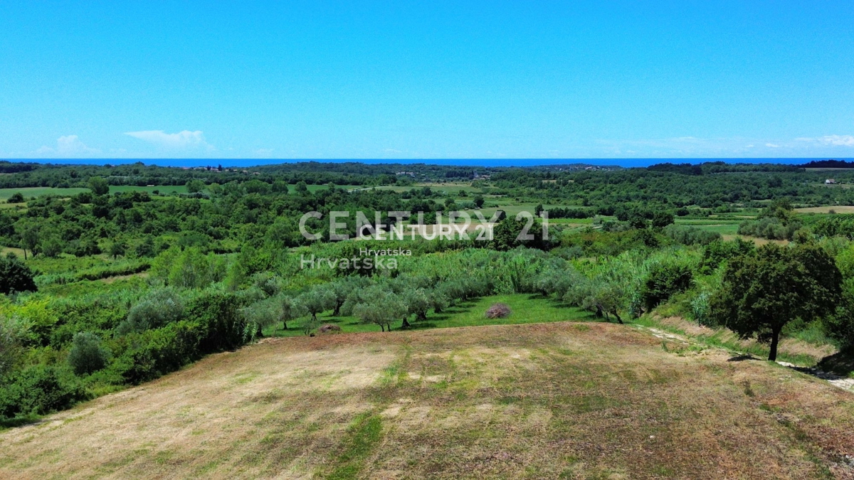 BUJE, OKOLICA, ATRAKTIVNO GRADBENO ZEMLJIŠČE S POGLEDOM NA MORJE