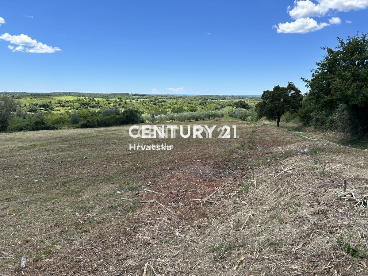 BUJE, OKOLICA, ATRAKTIVNO GRADBENO ZEMLJIŠČE S POGLEDOM NA MORJE