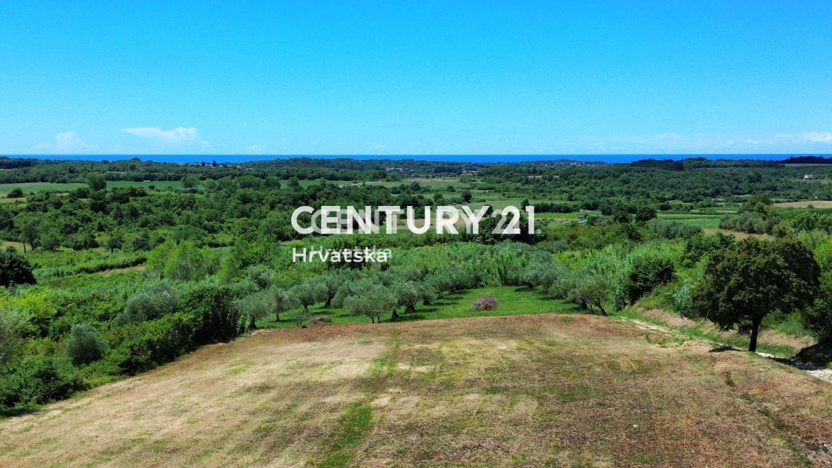 BUJE, OKOLICA, ATRAKTIVNO GRADBENO ZEMLJIŠČE S POGLEDOM NA MORJE