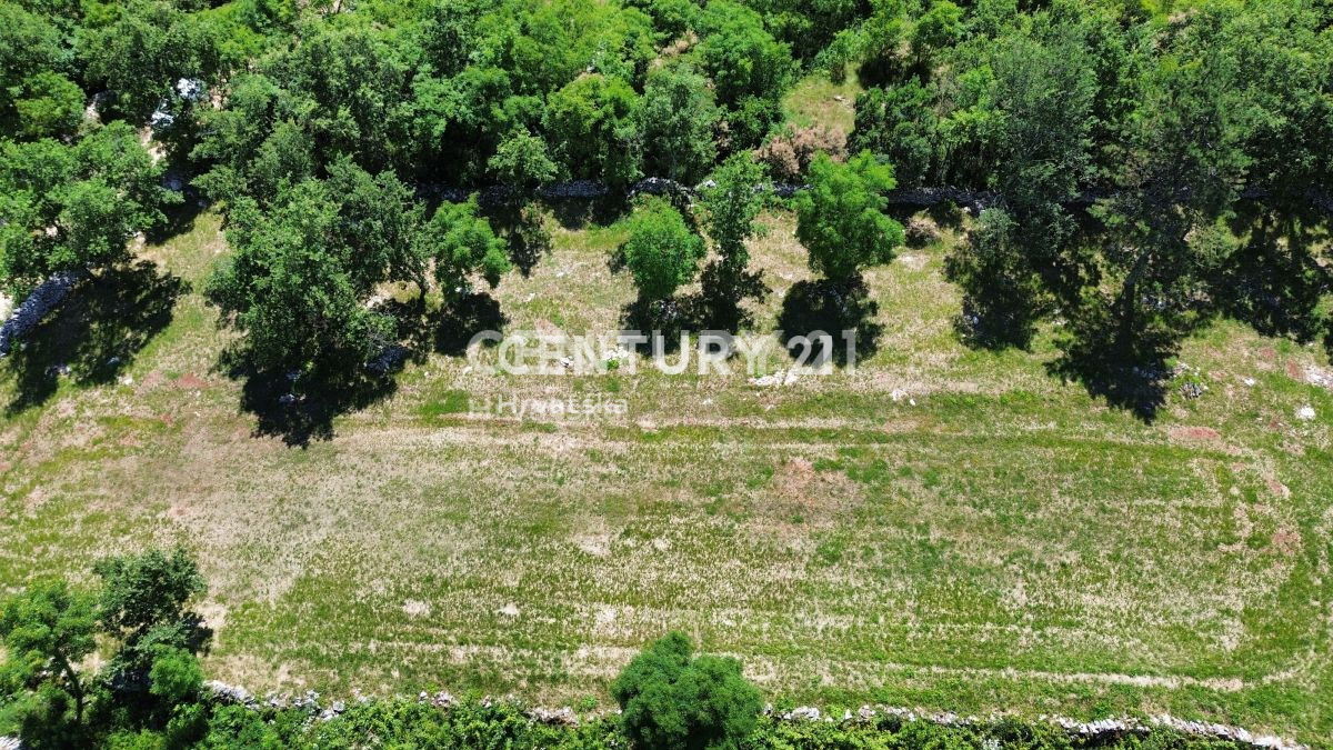 Prodaja, zemljišče, gradbeno, Istarska županija, Buje