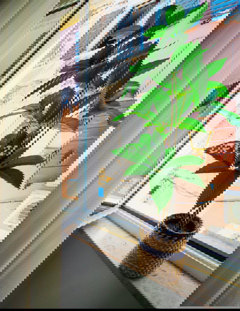 ROVINJ, CENTAR, STAN V CENTRU ROVINJA