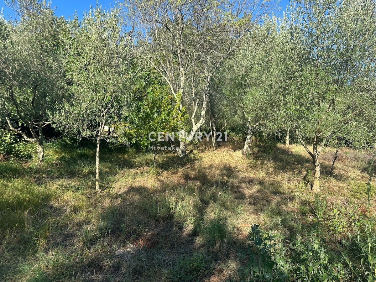 BRTONIGLA, PRODAJA GRADBENIŠKE ZEMLJIŠČE