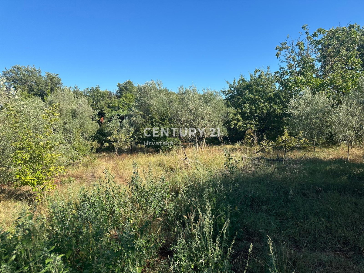 BRTONIGLA, PRODAJA GRADBENIŠKE ZEMLJIŠČE