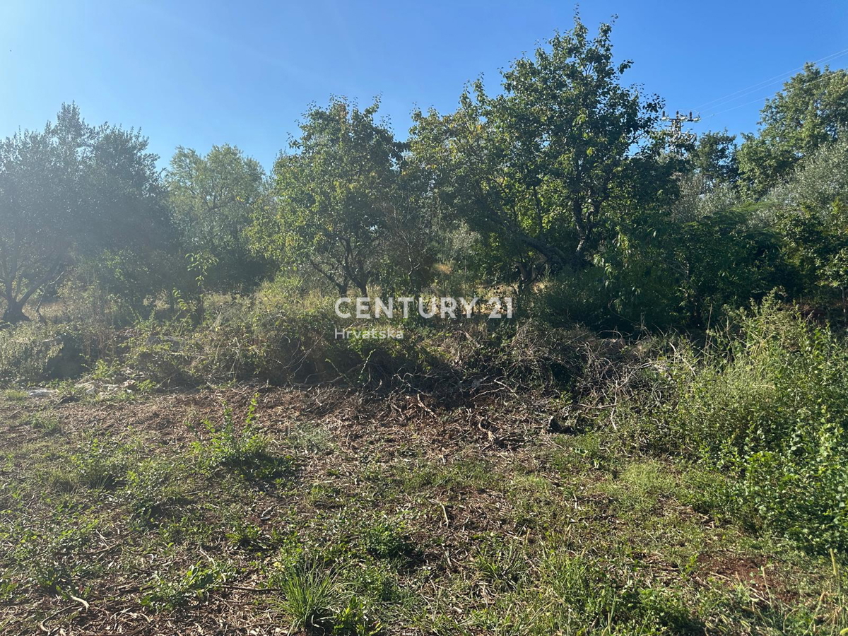 BRTONIGLA, PRODAJA GRADBENIŠKE ZEMLJIŠČE