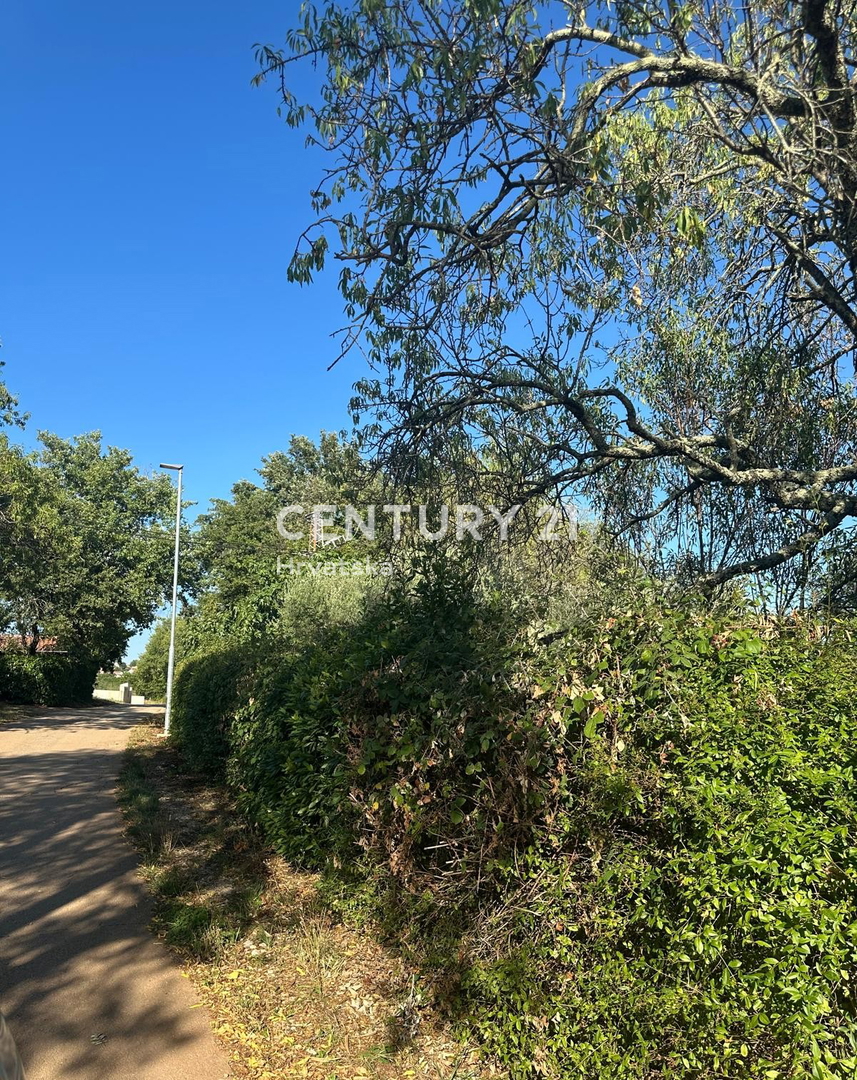 BRTONIGLA, PRODAJA GRADBENIŠKE ZEMLJIŠČE