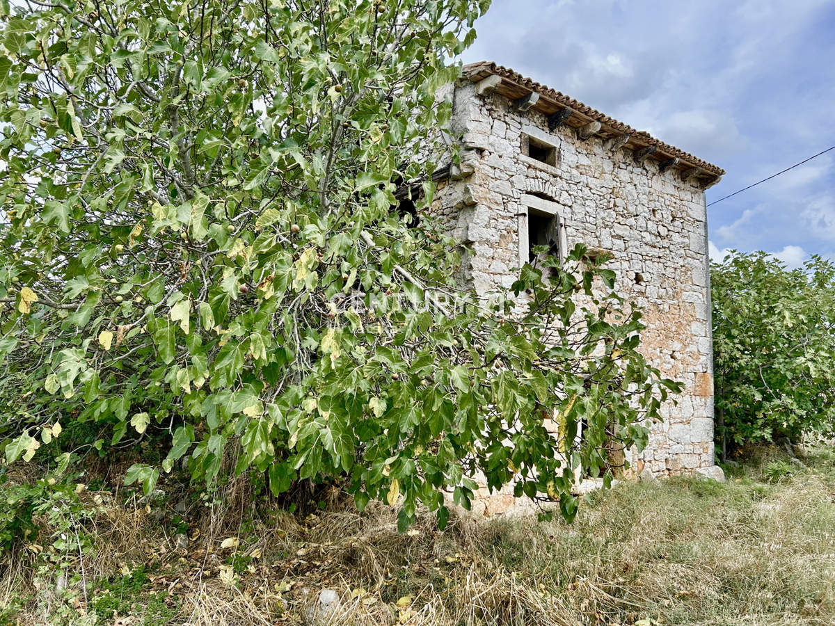 Vrsar, okolica, kamnita hiša za obnovo na odlični lokaciji