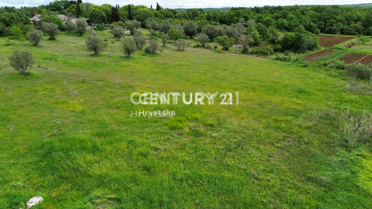 Prodaja, hiša, samostojna, Istarska županija, Rovinj