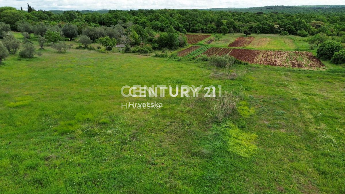 Prodaja, hiša, samostojna, Istarska županija, Rovinj