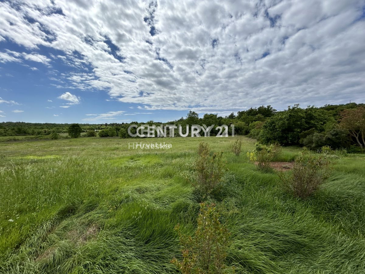 Prodaja, hiša, samostojna, Istarska županija, Rovinj