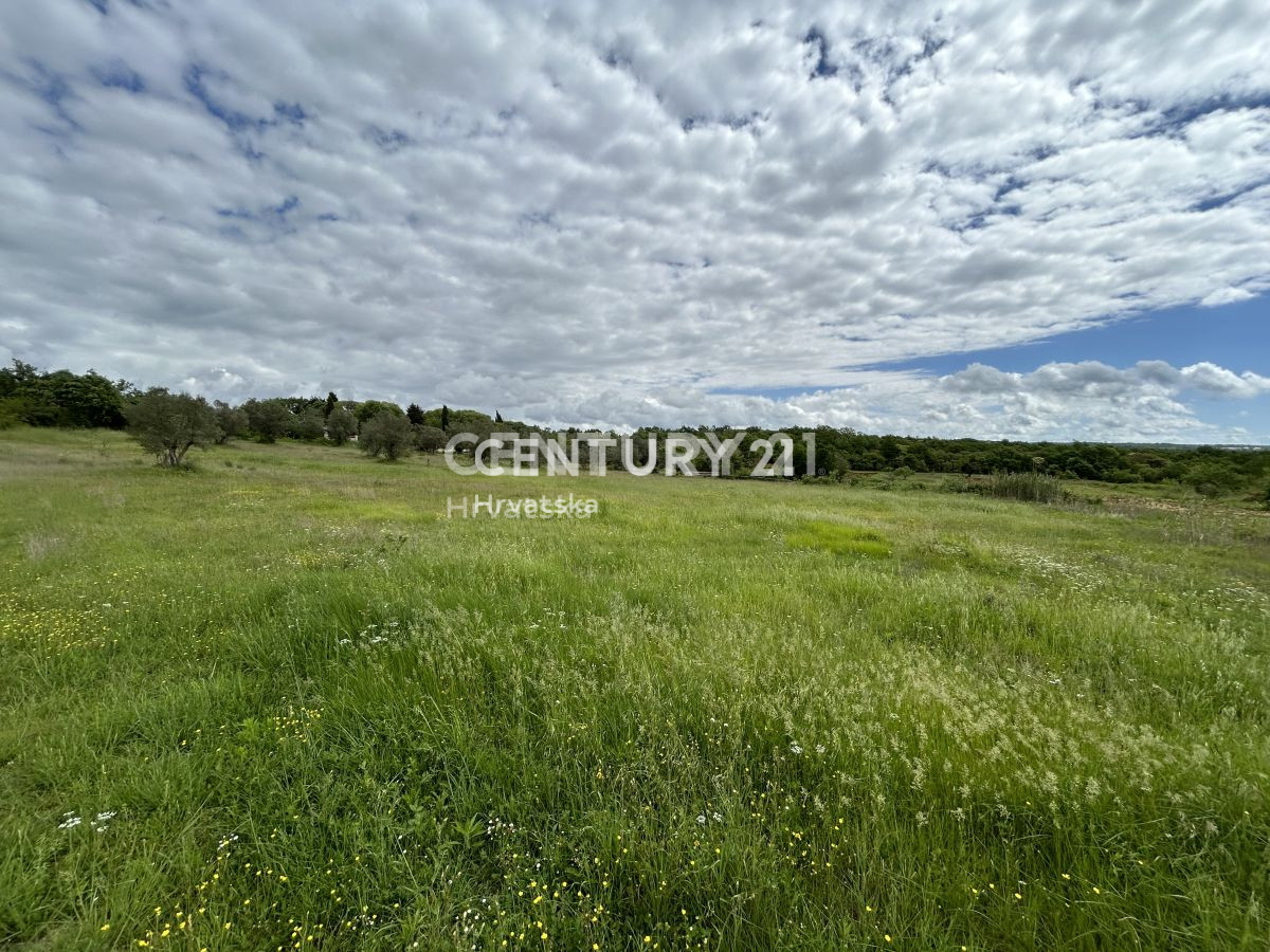 Prodaja, hiša, samostojna, Istarska županija, Rovinj