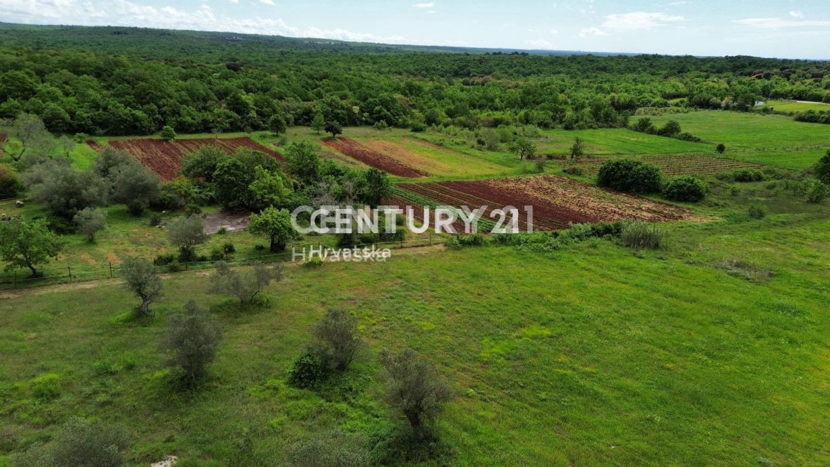 Prodaja, hiša, samostojna, Istarska županija, Rovinj