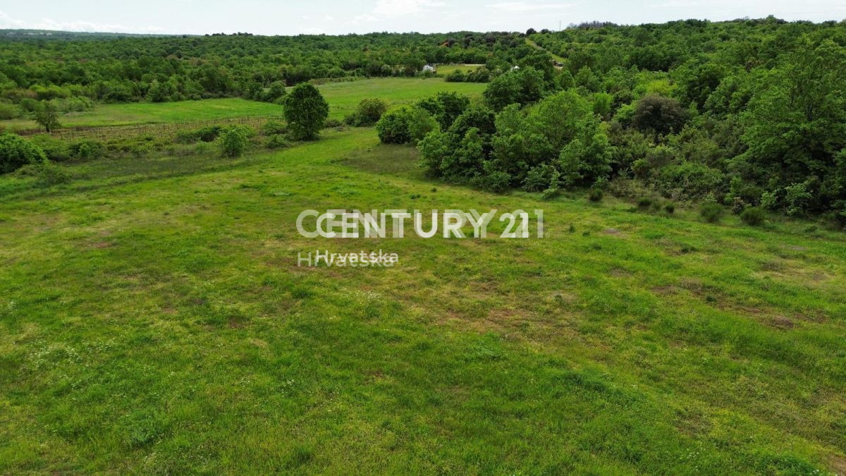 Prodaja, hiša, samostojna, Istarska županija, Rovinj