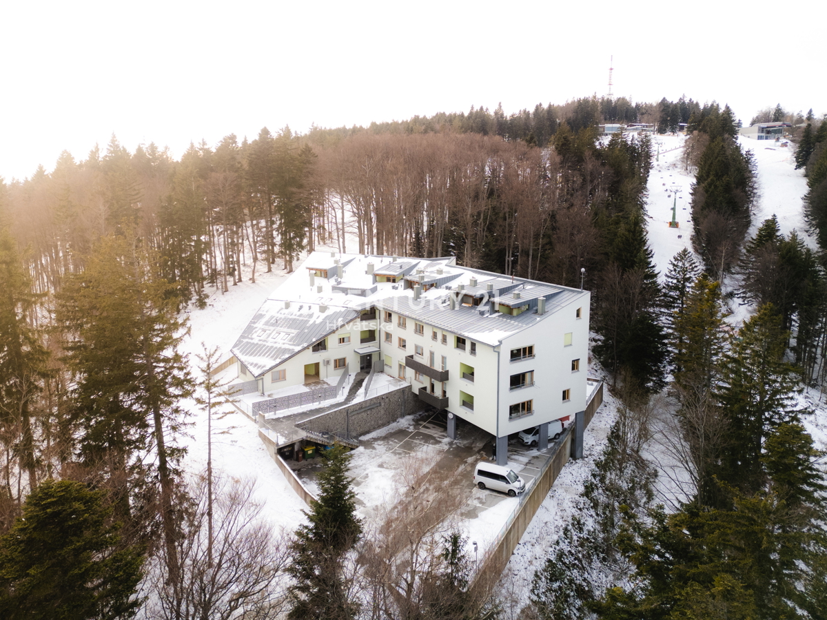 MARIBOR, POHORJE, STANOVANJE V PRITLIČJU Z VELIKIM ATRIJEM
