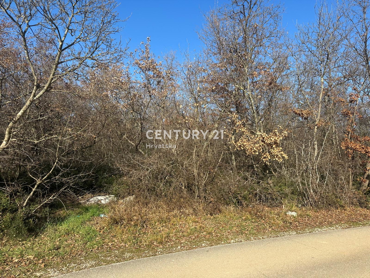 POREČ, PRODAJA SE GRADBENO ZEMLJIŠČE V KOMBINACIJI Z VELIKIM KMETIJSKIM ZEMLJIŠČEM