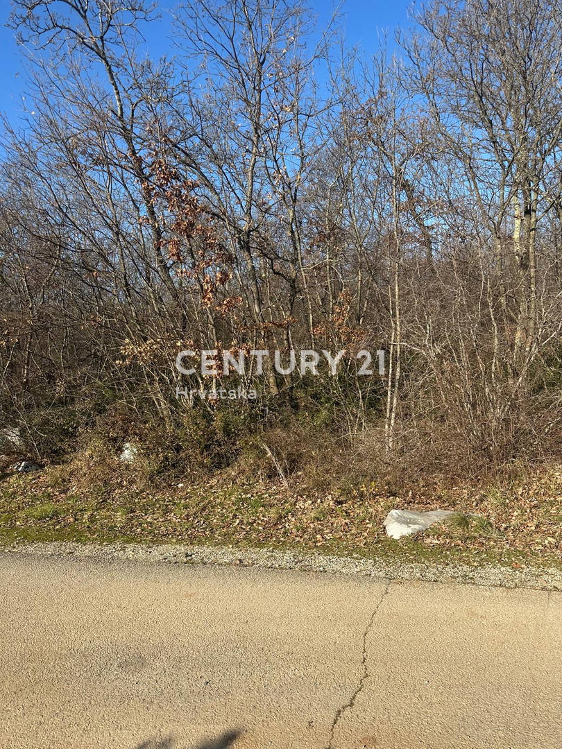 POREČ, PRODAJA SE GRADBENO ZEMLJIŠČE V KOMBINACIJI Z VELIKIM KMETIJSKIM ZEMLJIŠČEM