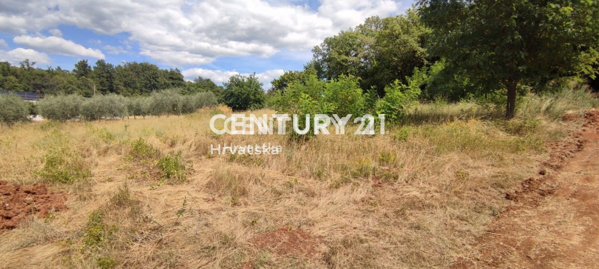 VIŽINADA, PRODAJA GRADBENEGA ZEMLJIŠČA Z GRADBENO DOVOLJENJO IN POGLEDOM NA MORJE