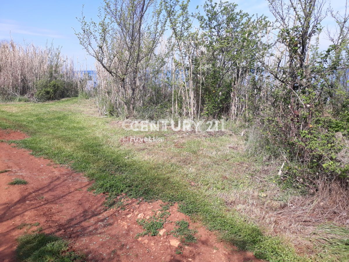 Prodaja, Zemljišče, Kmetijska površina, Istarska županija, Umag