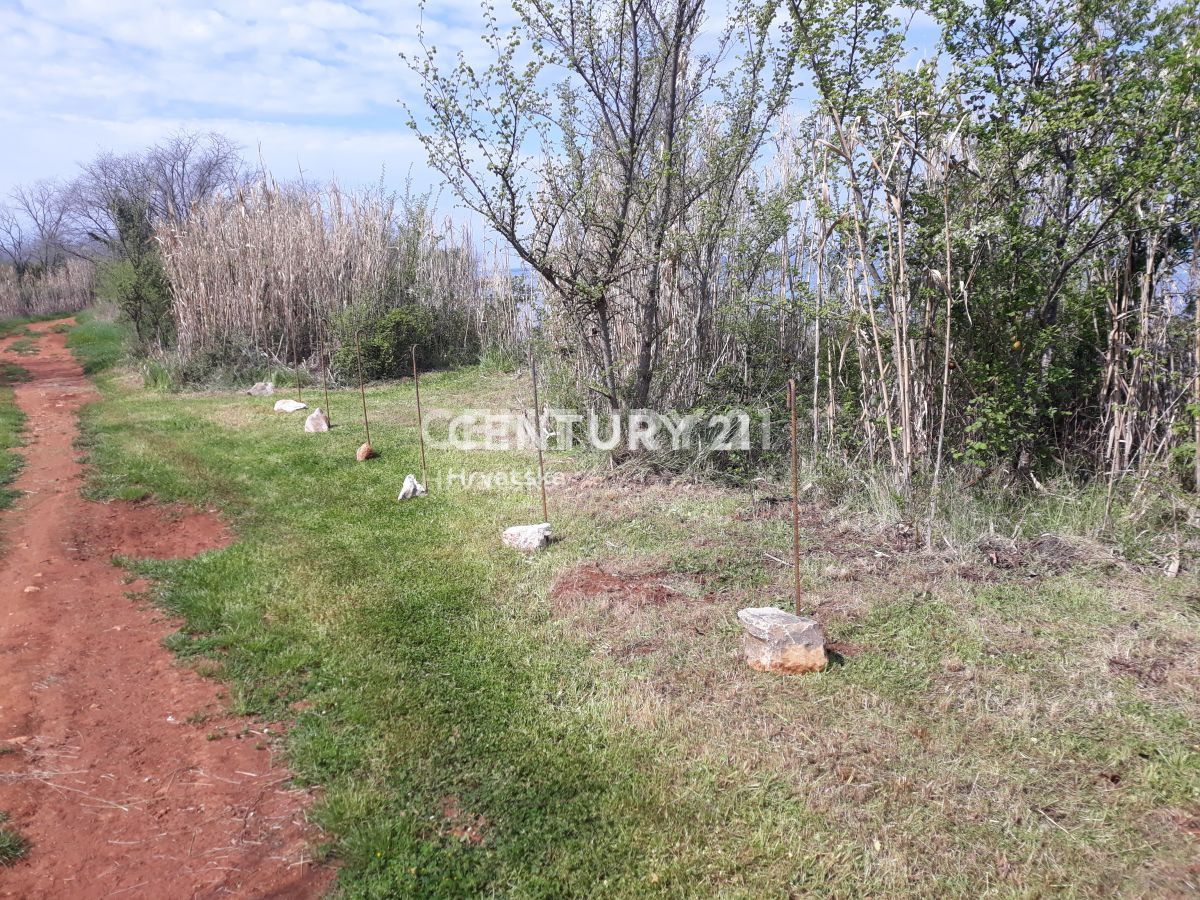 Prodaja, Zemljišče, Kmetijska površina, Istarska županija, Umag