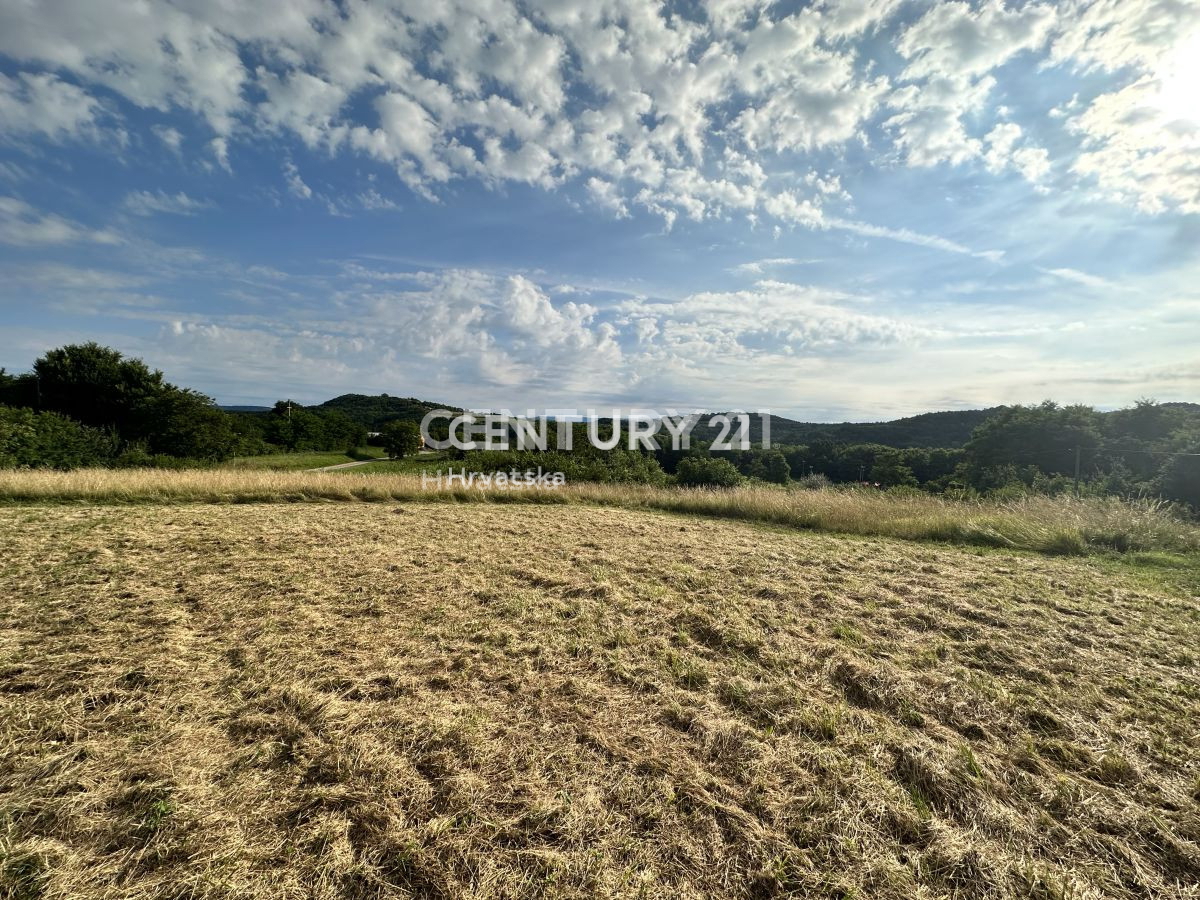 Prodaja, Zemljišče, Kmetijska površina, Istarska županija, Svetvinčenat, Cukrići