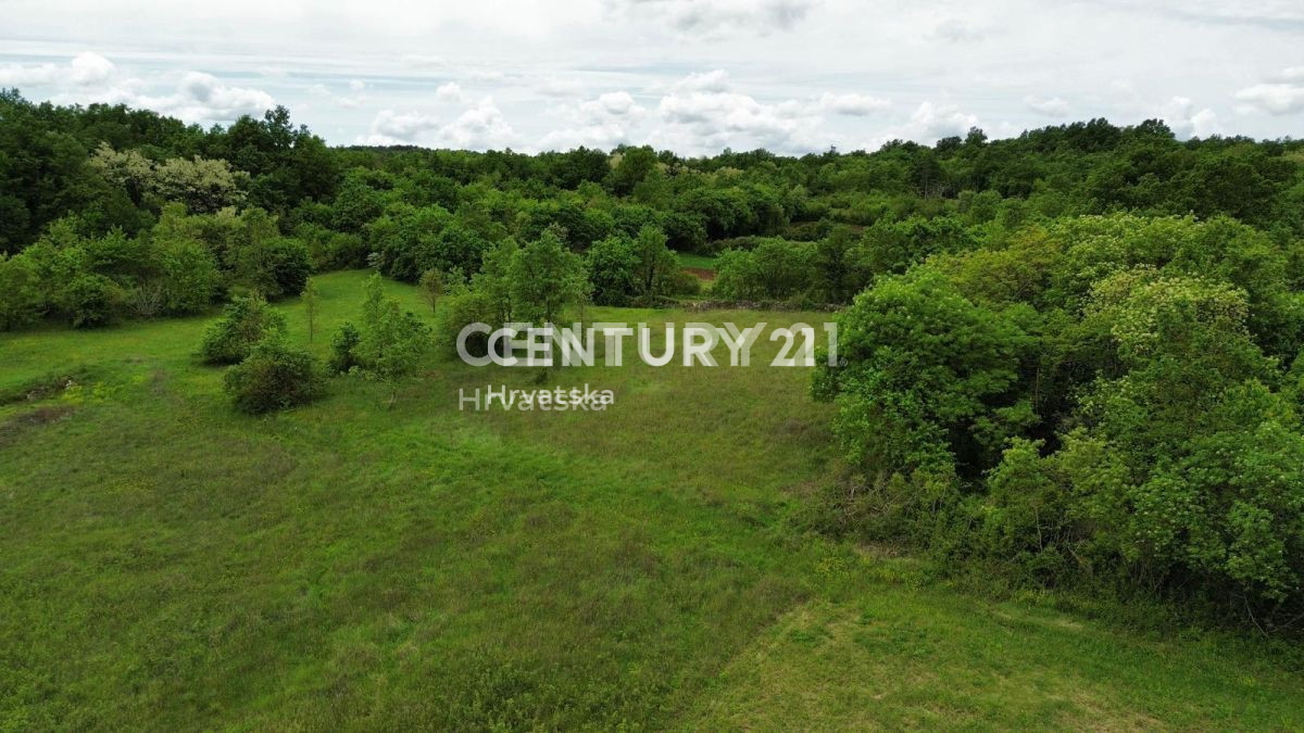 Prodaja, zemljišče, gradbeno, Istarska županija, Sveti Lovreč