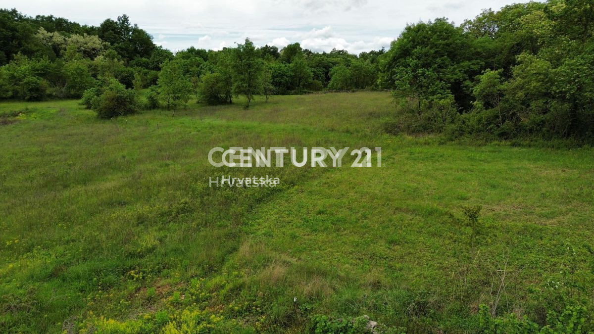 Prodaja, zemljišče, gradbeno, Istarska županija, Sveti Lovreč