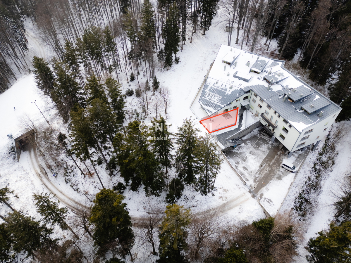 MARIBOR, POHORJE, STANOVANJE V PRITLIČJU Z VELIKIM ATRIJEM
