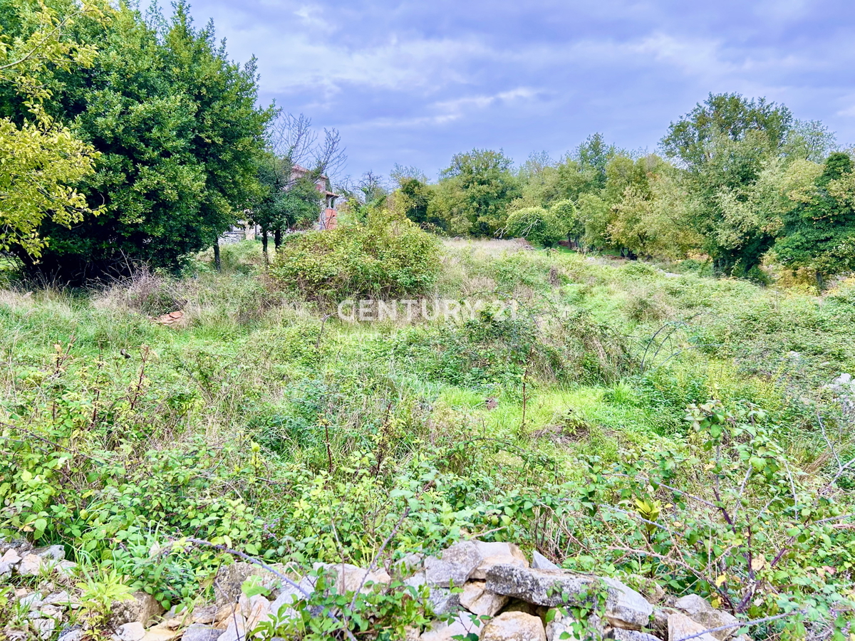 GROŽNJAN, SAMO 3 KM OD GROŽNJANA ATRAKTIVNO GRADBENIŠKO ZEMLJIŠČE