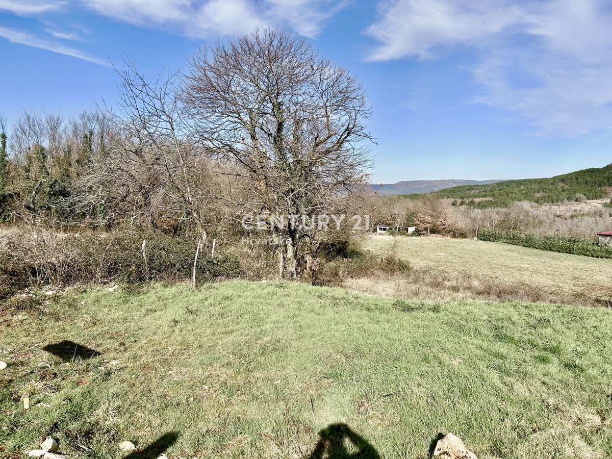 MOTOVUN, OKOLICA, ODLIČNO GRADBENO ZEMLJIŠČE S POGLEDOM NA NARAVO