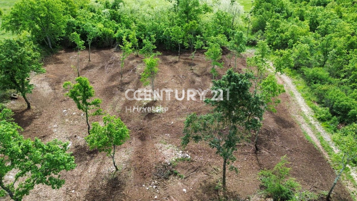 Prodaja, zemljišče, zazidljivo, Istarska županija, Višnjan