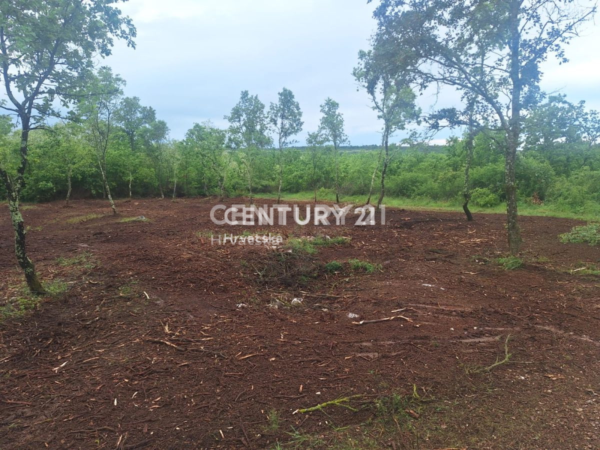 Prodaja, zemljišče, zazidljivo, Istarska županija, Višnjan