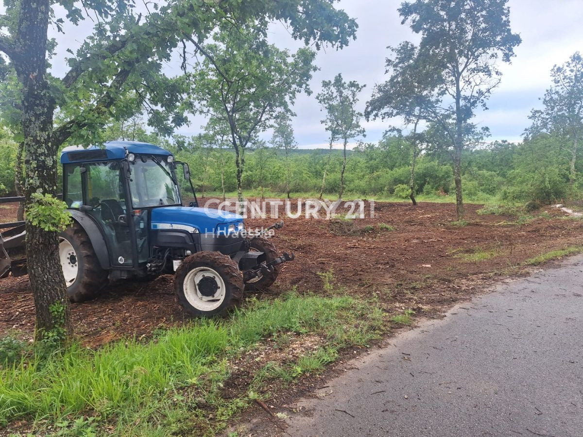 Prodaja, zemljišče, zazidljivo, Istarska županija, Višnjan