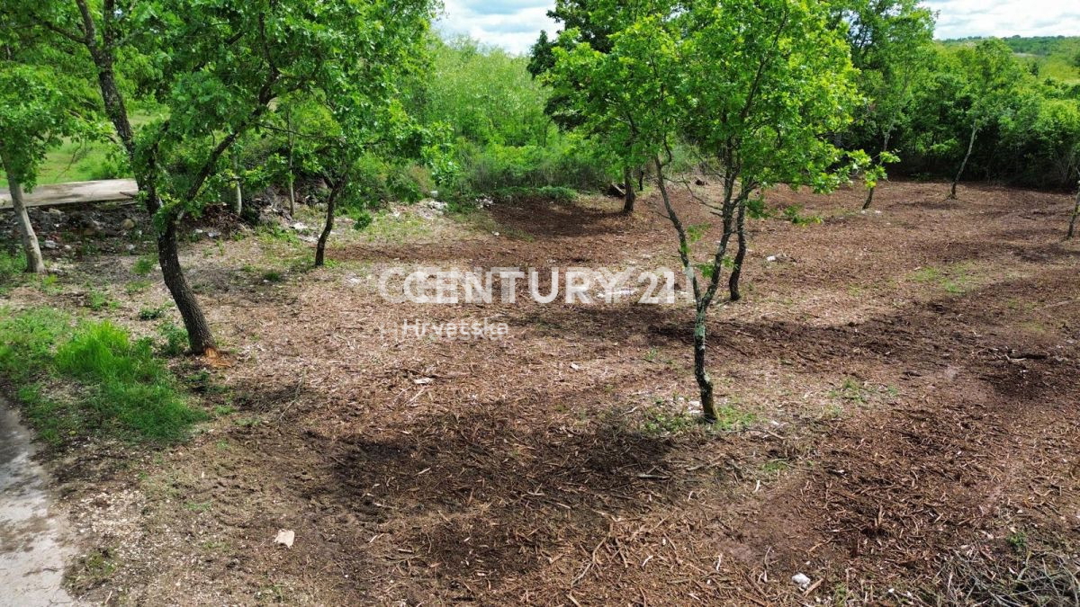 Prodaja, zemljišče, zazidljivo, Istarska županija, Višnjan