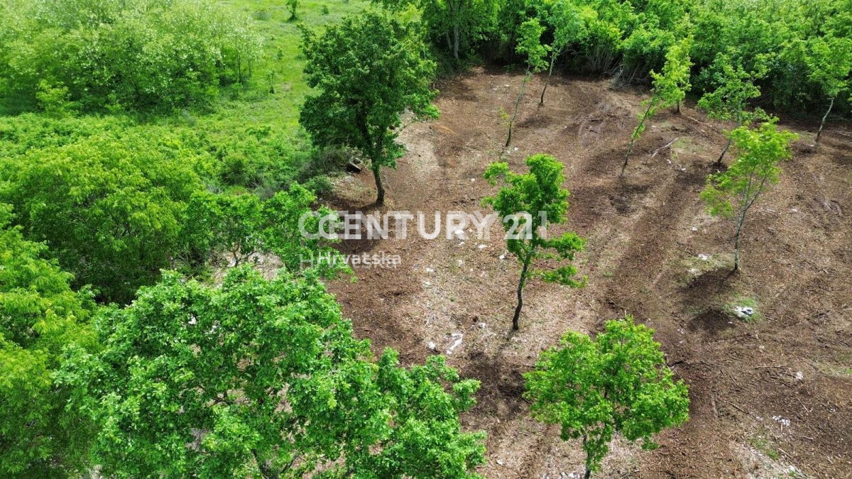 Prodaja, zemljišče, zazidljivo, Istarska županija, Višnjan
