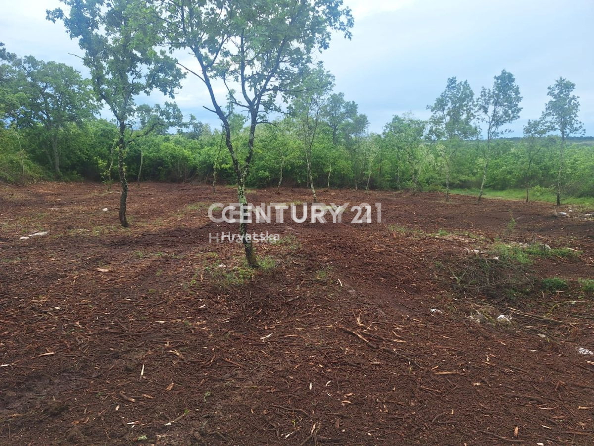 Prodaja, zemljišče, zazidljivo, Istarska županija, Višnjan